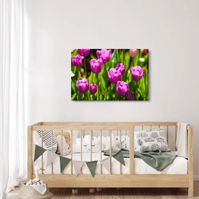 Tulipánok a réten képe (90x60 cm)