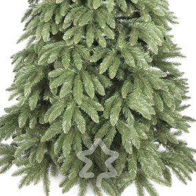 Kaukázusi lucfenyő 2D 220 cm