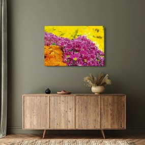 Rózsaszín virág képe (90x60 cm)