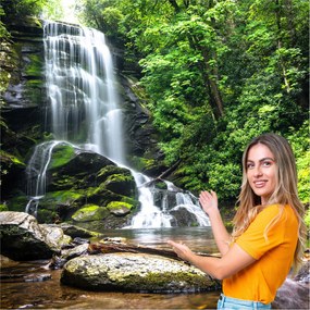 3D fotótapéta Nappali Hálószoba Vízesés Erdő Természet Tájkép 294x260 WLNK04F