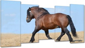 Festmények 150x80 Erős ló