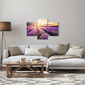 Kép - Napfelkelte levendulamezőn (90x60 cm)