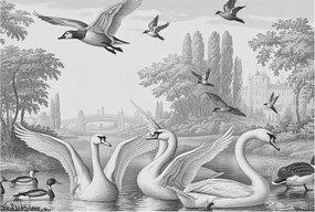 Design fotótapéta Flizelin falra Klasszikus tájkép 104x70