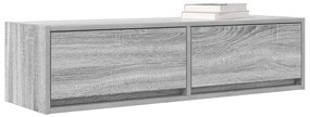 TV Szekrény Szürke Sonoma 100x31x25,5 cm Szerelt Fa