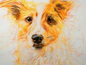 Poszter 40x30cm Bájos vendég