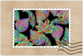 Poszterek 60x40 Színes levelek Levelek