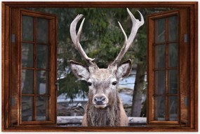 Poszter 60x40 Szarvas agancs