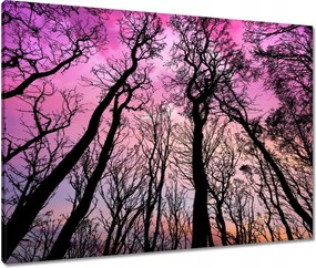 Vászonkép 80x60 Tájkép Látvány