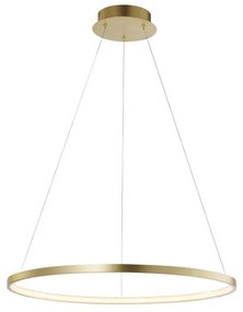 Leuchten Direkt 11524-12 - LED Csillár zsinóron CIRCLE LED/28,5W/230V