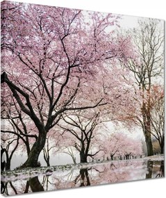 Vászonkép 40x40 Fa Fák Kilátás