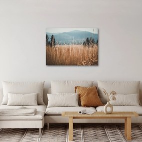 Kép - réti növényzet részlete (70x50 cm)