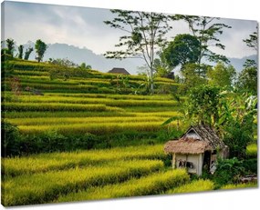 Vászonkép 70x50 Tájkép Látvány