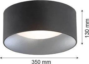 ARGON 704 MOHITO Ernyős Mennyezeti Lámpa Fekete, Ezüst E27 IP20