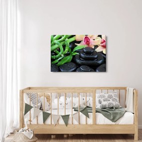Kép - Kövek és orchideák (90x60 cm)