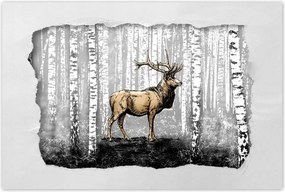 Poszterek 120x80 Szarvas Nyírfa Erdő