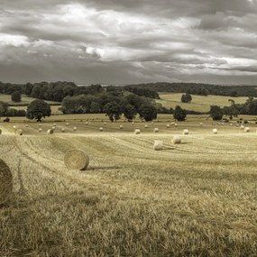 Poszter 70x70cm Szénakazalok a mezőkön 3, Assaf Frank