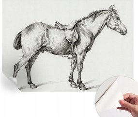 Fotótapéta Fali tapéta Hálószobába és Nappaliba Ló vázlat 208x146 cm