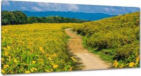 Festmények 115x55 Vidéki tejút