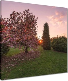 Vászonkép 50x50 Kilátás Tájkép