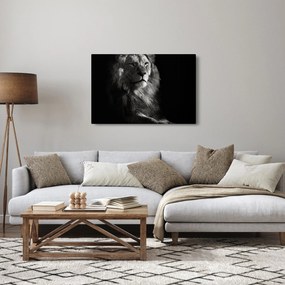 Kép - Oroszlán (90x60 cm)