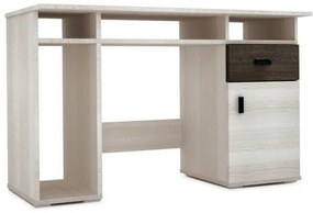 Nelly íróasztal kőris - ezüst tölgy N