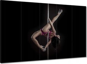Vászonkép 100x70 Szenvedélyes rúdtánc