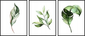 Triptichon Poszterek 40x50 sorozat 3 db-os kép szett levelek