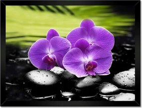 Poszterek keretben 40x30 Orchideák a köveken