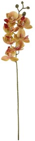 Művirág Orchidea sötét rózsaszín, 10 x 10 x 63 cm