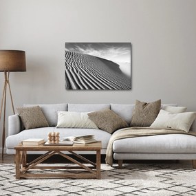 Kép - Homokdűne (70x50 cm)