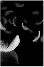 Fotótapéták 122x184 Hulló fehér tollak