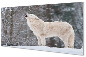 Akrilkép Wolf téli erdőben 100x50 cm