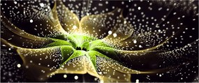 Kép - virág részlete (120x50 cm)