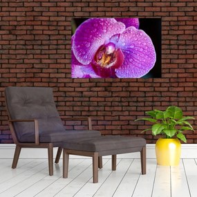 Részletes kép az orchidea virágról (90x60 cm)