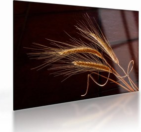 Kép - Rozsfül részlete (üvegen) (70x50 cm)