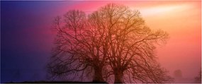 Fák a ködben (120x50 cm)