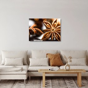 Üveg kép - Anise (70x50 cm)