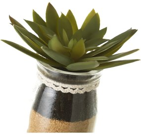 Műnövény szett 4 db-os (magasság 18 cm) Cactus – Casa Selección