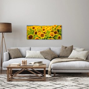 Kép - Napraforgók (120x50 cm)