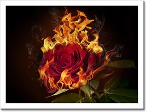 Poszterek keretben 40x30 Vörös lángoló rózsa