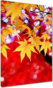 Vászonkép 70x100 Sárga őszi levél