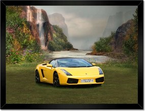 Poszterek keretben 40x30 Ayto a varázslatos réten