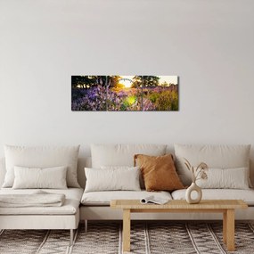 Egy levendulamező képe (órával) (90x30 cm)