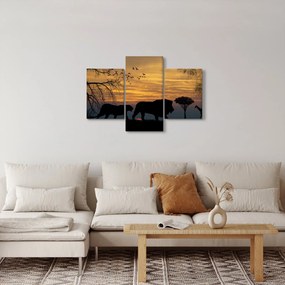 Safari képe (90x60 cm)