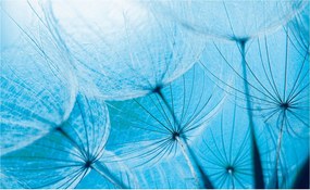 Fotótapéta Pitypang kék makró könnyed álom 312x219 +ragasztó