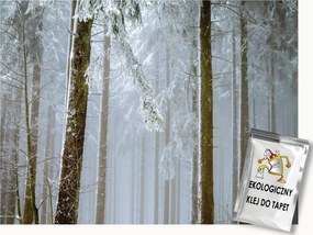 Fotótapéta Flizelina Tájkép Kilátás Erdő Fák Tél Hó Fagy 200x140 ragasztó