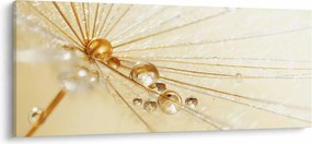 Kép - Makro fotó pitypangról (120x50 cm)