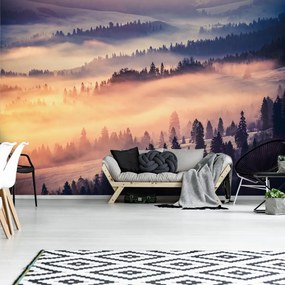 Fotótapéta - Erdő a ködben (152,5x104 cm)