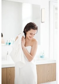 Philips 34058/11/16 - LED-es fürdőszobai lámpa MYBATHROOM FIT 2xLED/2,5W/230V