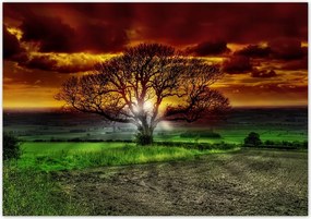 Poszterek 100x70 VarĂĄzslatos fa